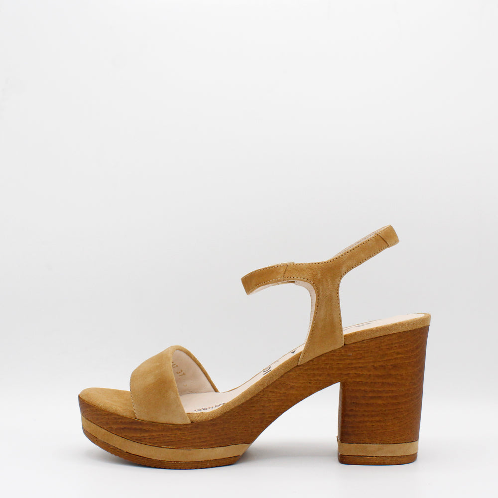 ANTE CAMEL