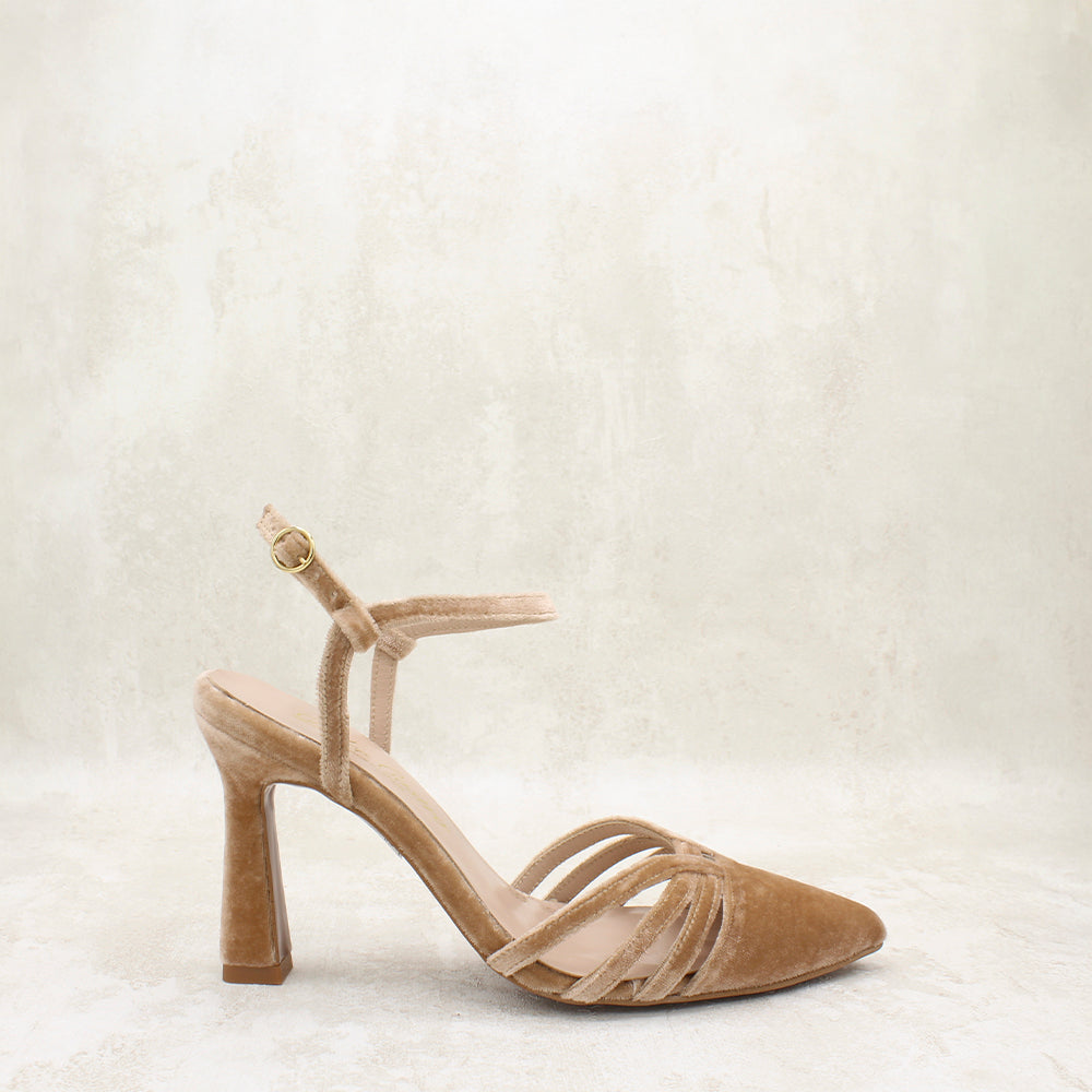 VELVET AVELLANA