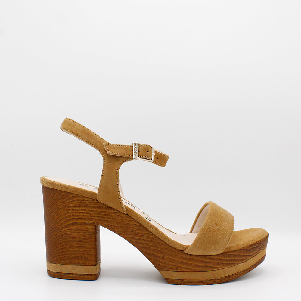 ANTE CAMEL