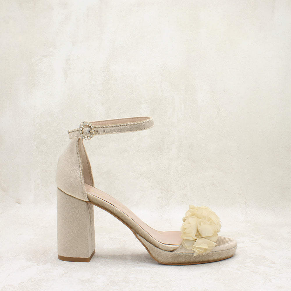 VELVET CAMEL
