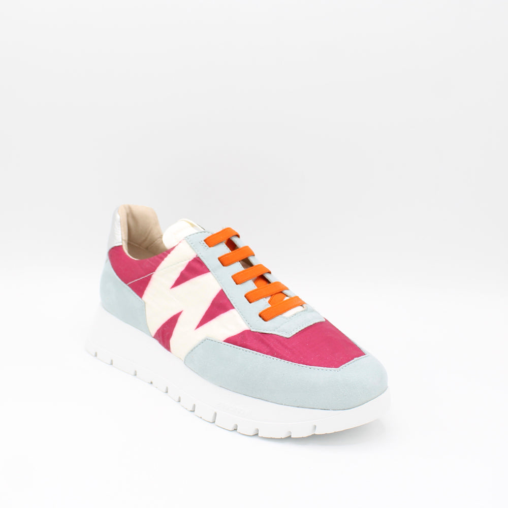 ANTE ALOE ORCHID, BLANCO