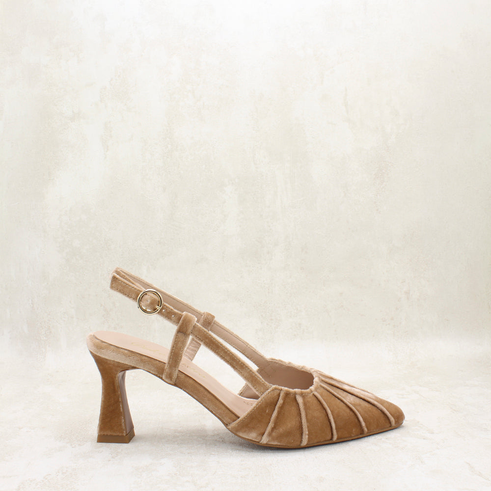 VELVET AVELLANA