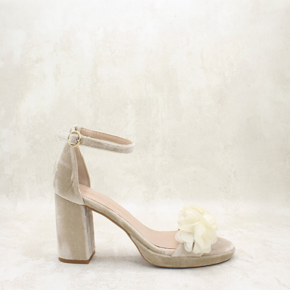VELVET TAUPE, FLORES ANGORA